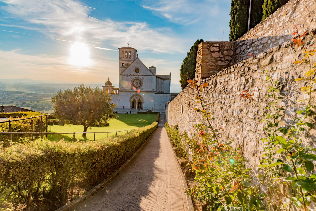 800 anni dal Transito di San Francesco: cosa può dirci ancora oggi Francesco?